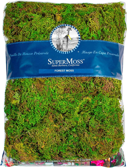 (25320) Forest Moss Preserved, Fresh Green, 2oz