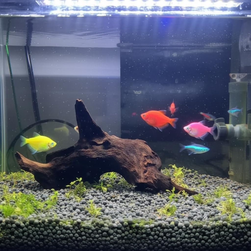 Aquarium Driftwood Fish Tank Decoration Varies Shape and Size (Medium)