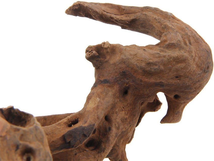 Aquarium Driftwood Fish Tank Decoration Varies Shape and Size (Medium)