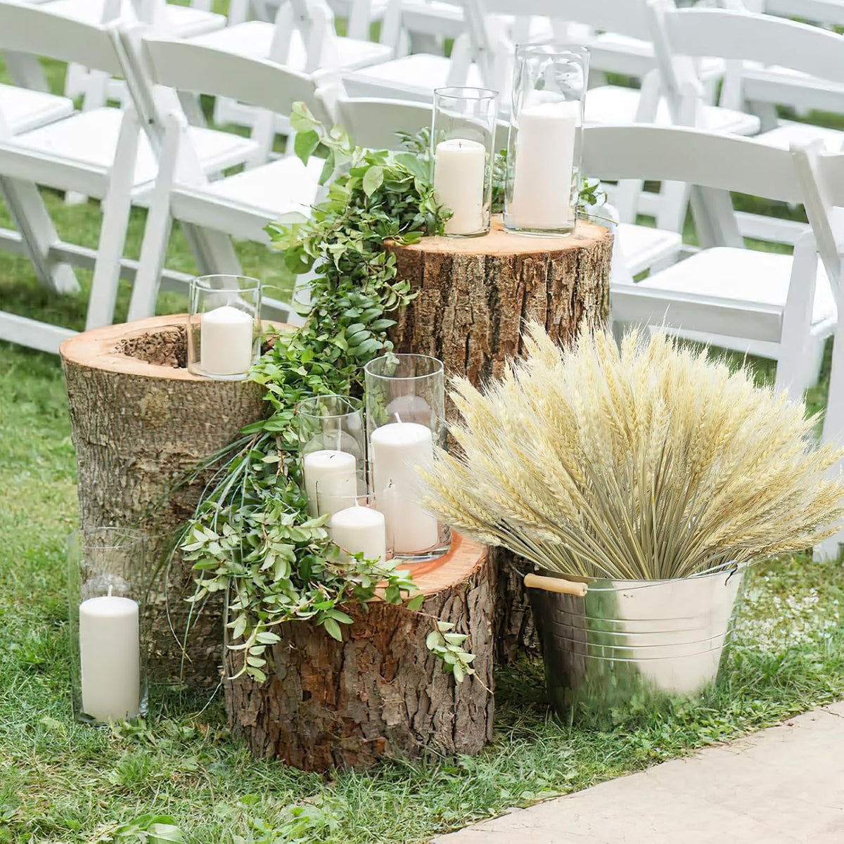 100 Pcs Dried Wheat Stalks Bundle Grass Natural Dried Wheat Sheaves Stems Dried Flowers Arrangement Bouquet for Wedding Party Table Centerpiece Fall Harvest Wreath Boho Decor Farmhouse DIY