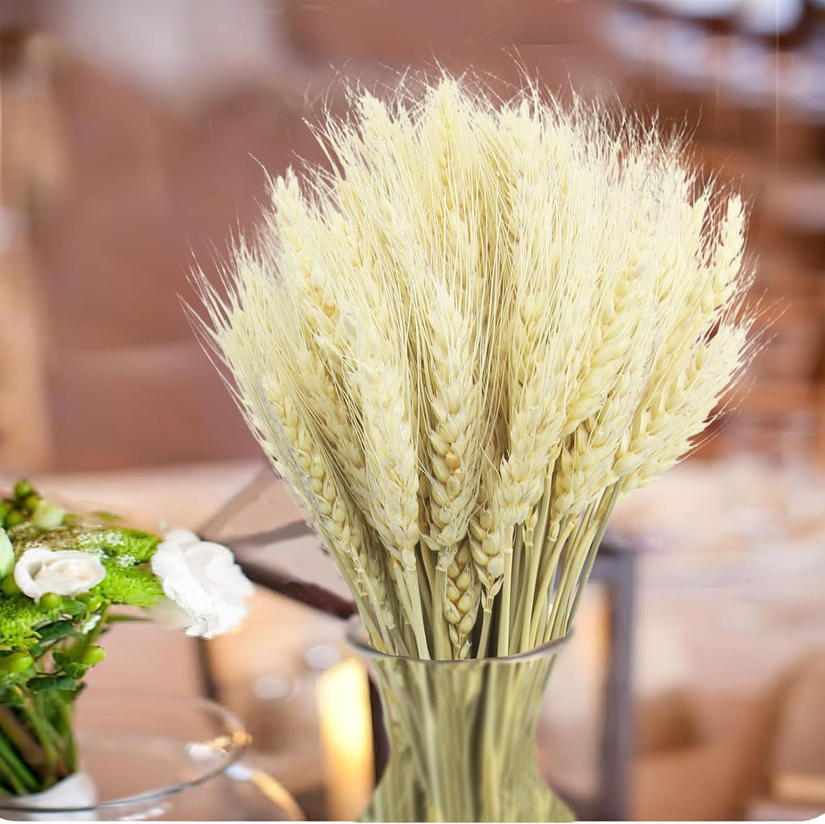 100 Pcs Dried Wheat Stalks Bundle Grass Natural Dried Wheat Sheaves Stems Dried Flowers Arrangement Bouquet for Wedding Party Table Centerpiece Fall Harvest Wreath Boho Decor Farmhouse DIY