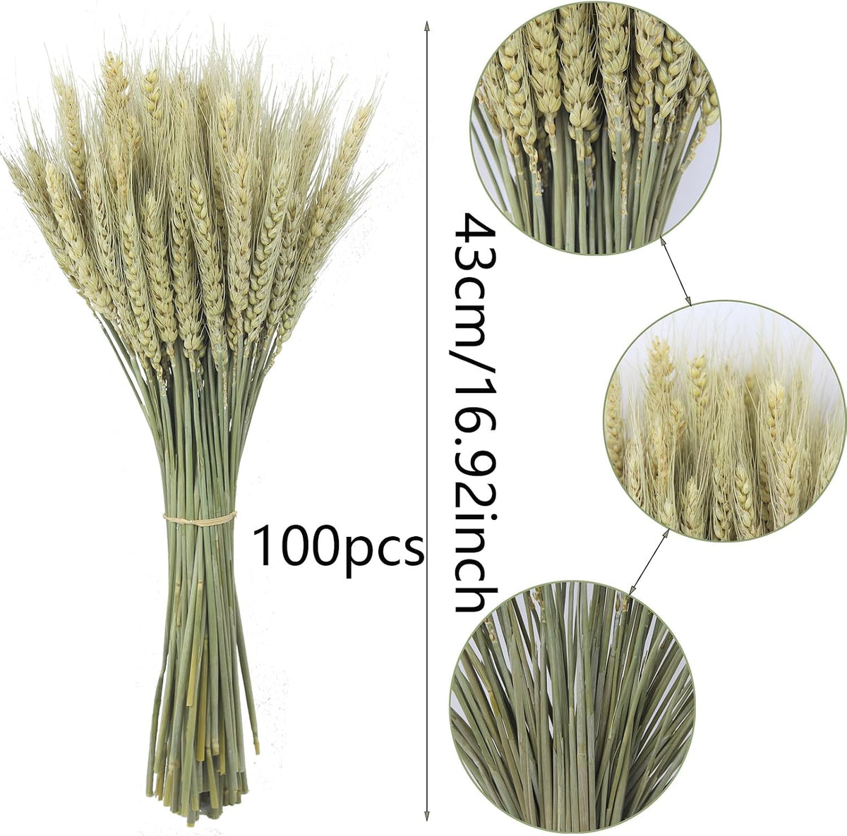 100 Pcs Dried Wheat Stalks Bundle Grass Natural Dried Wheat Sheaves Stems Dried Flowers Arrangement Bouquet for Wedding Party Table Centerpiece Fall Harvest Wreath Boho Decor Farmhouse DIY