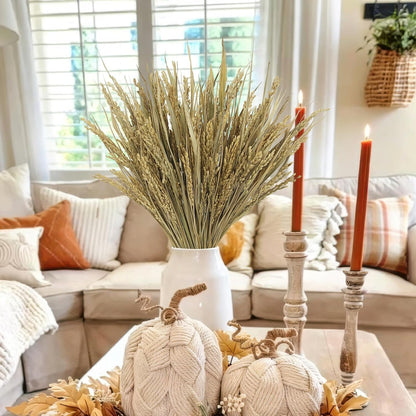 100 Pcs Dried Wheat Stalks Bundle Grass Natural Dried Wheat Sheaves Stems Dried Flowers Arrangement Bouquet for Wedding Party Table Centerpiece Fall Harvest Wreath Boho Decor Farmhouse DIY