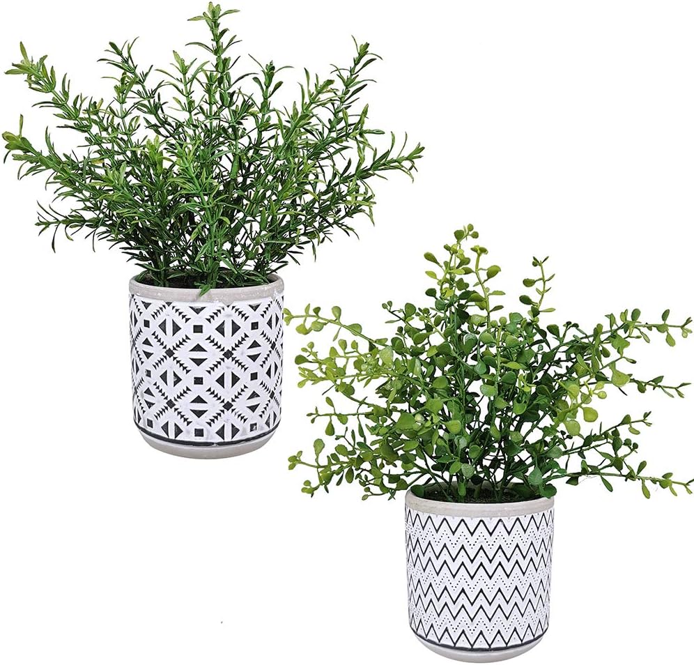 2 Pack Small Potted Eucalyptus Plant Artificial Plants Green Boxwood Rosemary Greenery in Modern Concrete Plant Pots