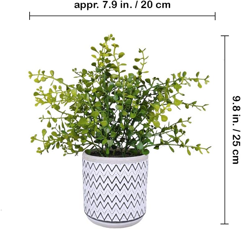 2 Pack Small Potted Eucalyptus Plant Artificial Plants Green Boxwood Rosemary Greenery in Modern Concrete Plant Pots
