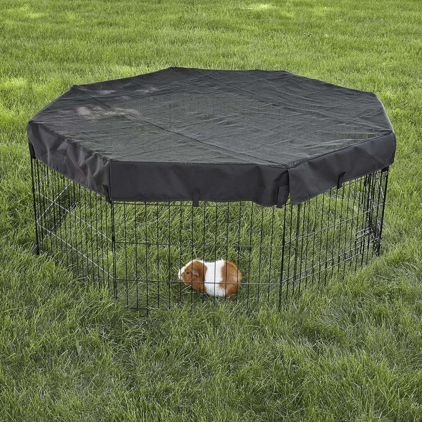 Octagon Exercise Pen Fabric Mesh Top