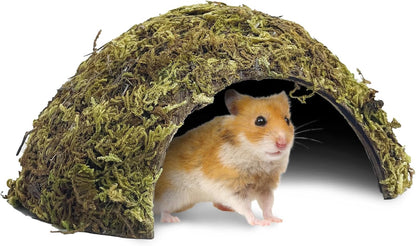 Hamster Hideout Natural Mossy Cave Hamster Houses and Hideouts Moss Covered Coconut Enclosed Hiding Hut for Mice Habitat Hamster Cage Accessories for Dwarf Gerbil Syrian Fancy Mouse