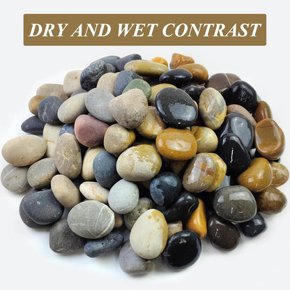 FANTIAN 5 lbs Natural Aquarium Rocks, 2-3 Inch Large Pebbles.Decorative River Rocks for Plants, Fish Tank, Garden, Paving, Fountain, Walkways and Outdoor Landscaping