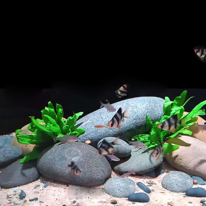 FANTIAN 5 lbs Natural Aquarium Rocks, 2-3 Inch Large Pebbles.Decorative River Rocks for Plants, Fish Tank, Garden, Paving, Fountain, Walkways and Outdoor Landscaping