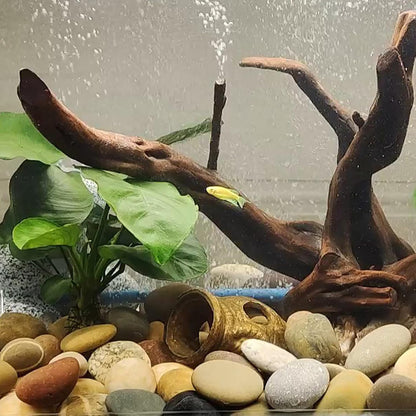 FANTIAN 5 lbs Natural Aquarium Rocks, 2-3 Inch Large Pebbles.Decorative River Rocks for Plants, Fish Tank, Garden, Paving, Fountain, Walkways and Outdoor Landscaping