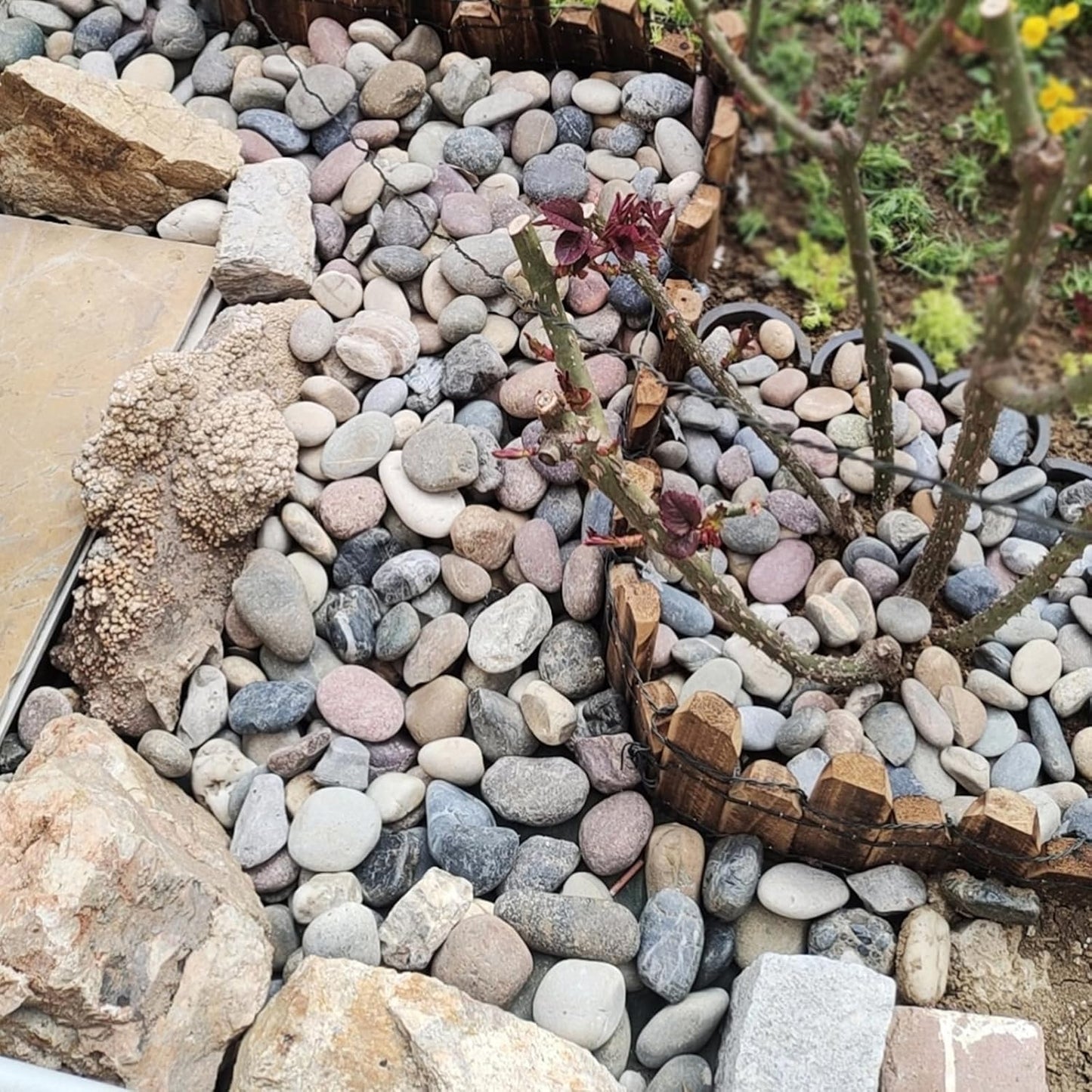 FANTIAN 5 lbs Natural Aquarium Rocks, 2-3 Inch Large Pebbles.Decorative River Rocks for Plants, Fish Tank, Garden, Paving, Fountain, Walkways and Outdoor Landscaping