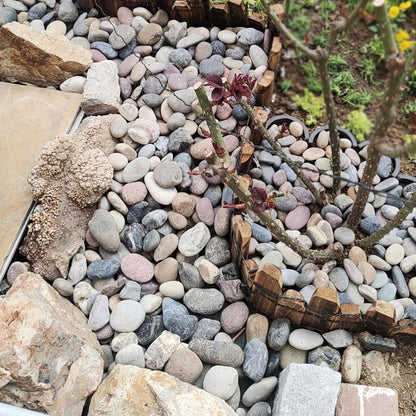 FANTIAN 5 lbs Natural Aquarium Rocks, 2-3 Inch Large Pebbles.Decorative River Rocks for Plants, Fish Tank, Garden, Paving, Fountain, Walkways and Outdoor Landscaping