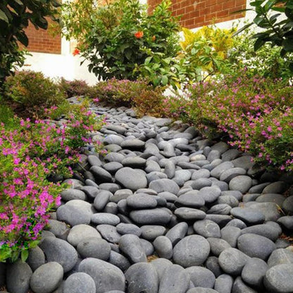 FANTIAN 5 lbs Natural Aquarium Rocks, 2-3 Inch Large Pebbles.Decorative River Rocks for Plants, Fish Tank, Garden, Paving, Fountain, Walkways and Outdoor Landscaping