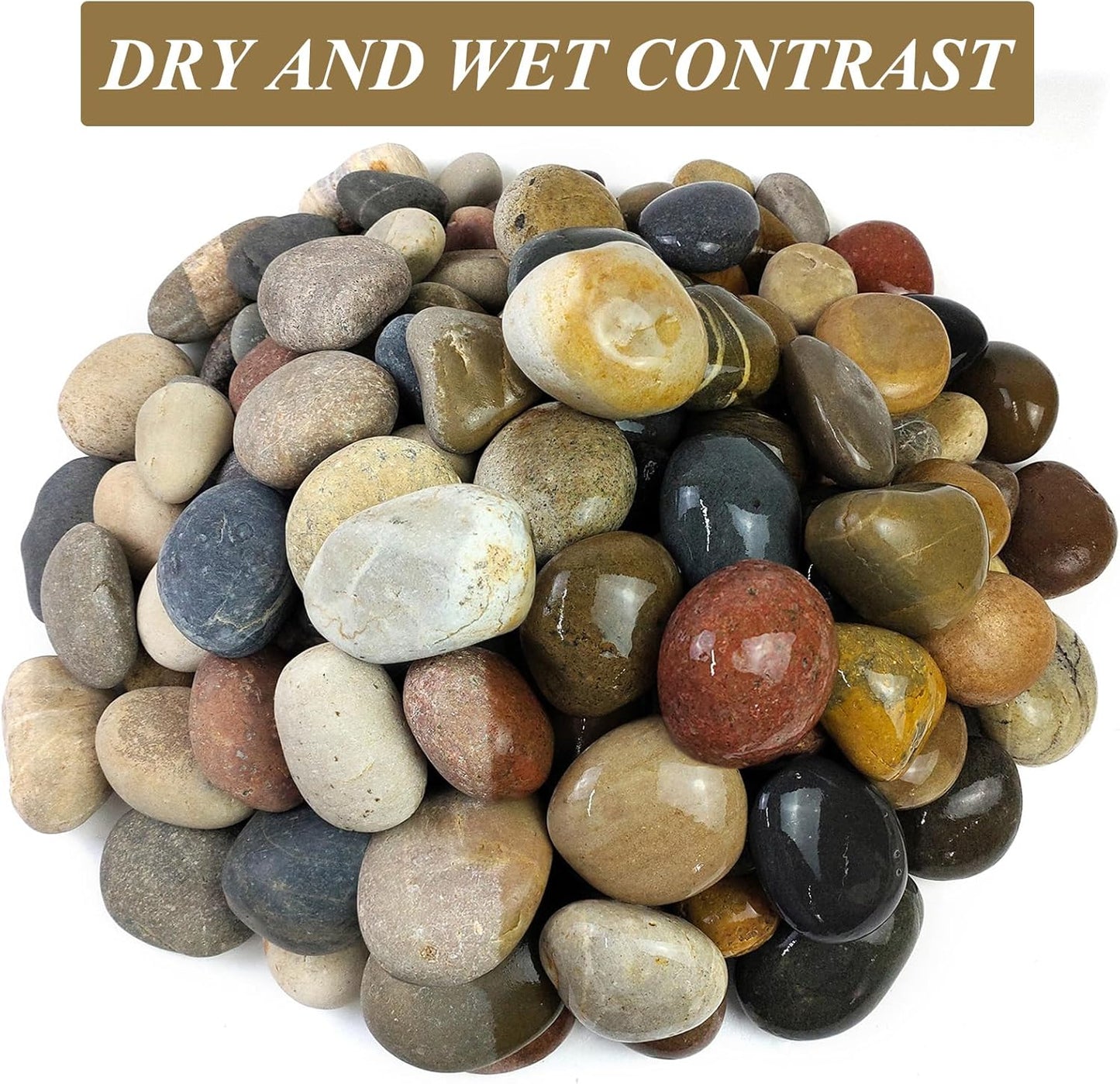 FANTIAN 5 lbs Natural Aquarium Rocks, 2-3 Inch Large Pebbles.Decorative River Rocks for Plants, Fish Tank, Garden, Paving, Fountain, Walkways and Outdoor Landscaping
