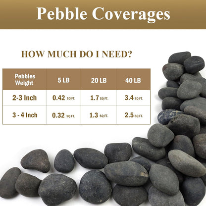 FANTIAN 5 lbs Natural Aquarium Rocks, 2-3 Inch Large Pebbles.Decorative River Rocks for Plants, Fish Tank, Garden, Paving, Fountain, Walkways and Outdoor Landscaping