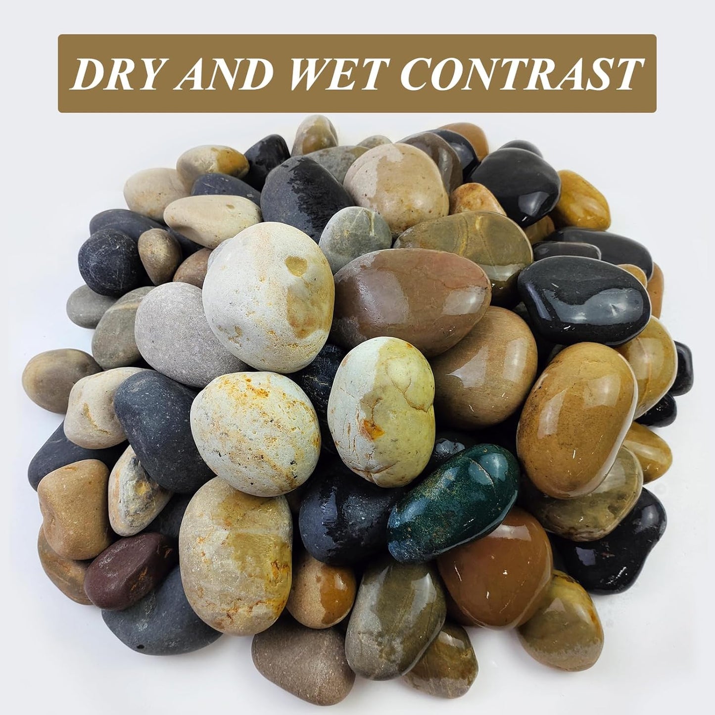 FANTIAN 5 lbs Natural Aquarium Rocks, 2-3 Inch Large Pebbles.Decorative River Rocks for Plants, Fish Tank, Garden, Paving, Fountain, Walkways and Outdoor Landscaping