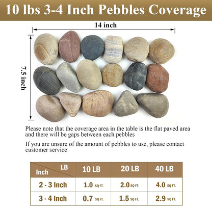 FANTIAN 5 lbs Natural Aquarium Rocks, 2-3 Inch Large Pebbles.Decorative River Rocks for Plants, Fish Tank, Garden, Paving, Fountain, Walkways and Outdoor Landscaping