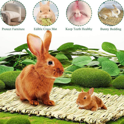 2 PCS Rabbit Grass Mats, Natural Straw Hay Woven Rabbit Bed Cage Mats Pet Handmade Bedding, Sleeping Chewing Nesting and Toys for Hamster Bunny Chinchilla Bird and Other Small Animal (2Pcs)