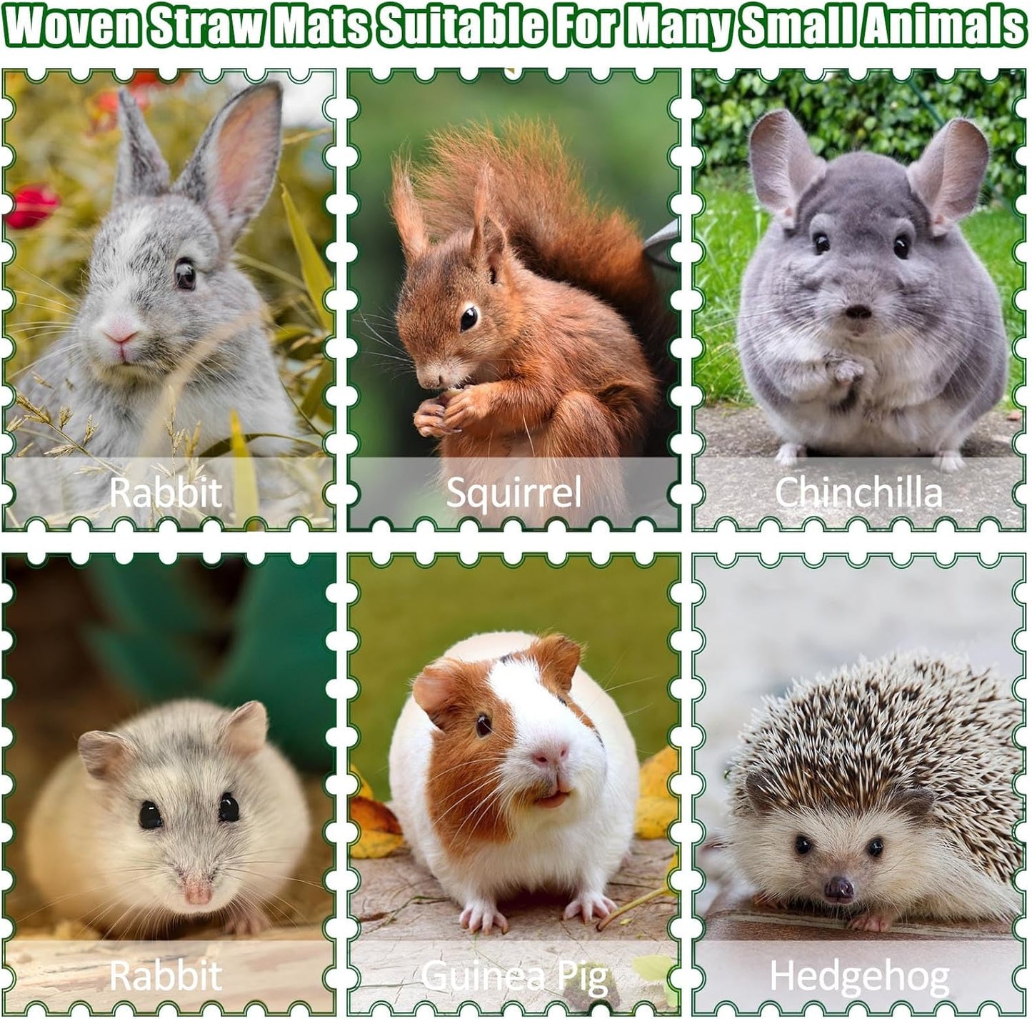 2 PCS Rabbit Grass Mats, Natural Straw Hay Woven Rabbit Bed Cage Mats Pet Handmade Bedding, Sleeping Chewing Nesting and Toys for Hamster Bunny Chinchilla Bird and Other Small Animal (2Pcs)