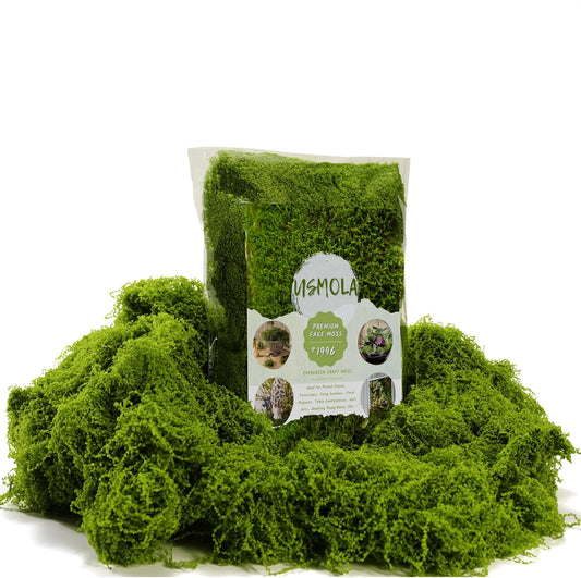 3.5OZ Fake Moss for Plants Indoor - Artificial Moss for Table Centerpieces, Fairy Gardens, Terrariums - Realistic Faux Grass for Wedding Christmas Party Decor (Natural Green)