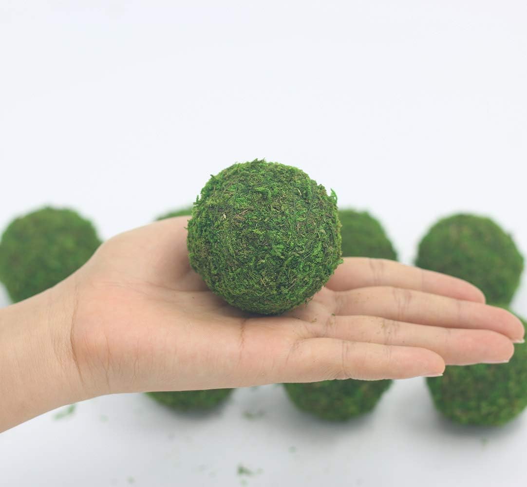 Handmade Natural Green Plant Moss Balls Decorative for Home Party Display Decor Props (2 in)