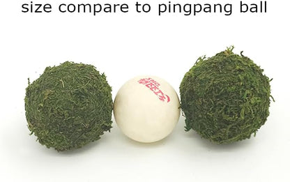 Handmade Natural Green Plant Moss Balls Decorative for Home Party Display Decor Props (2 in)