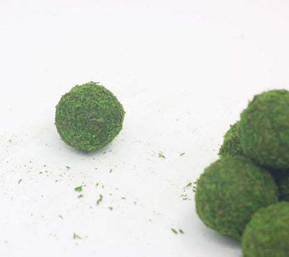 Handmade Natural Green Plant Moss Balls Decorative for Home Party Display Decor Props (2 in)