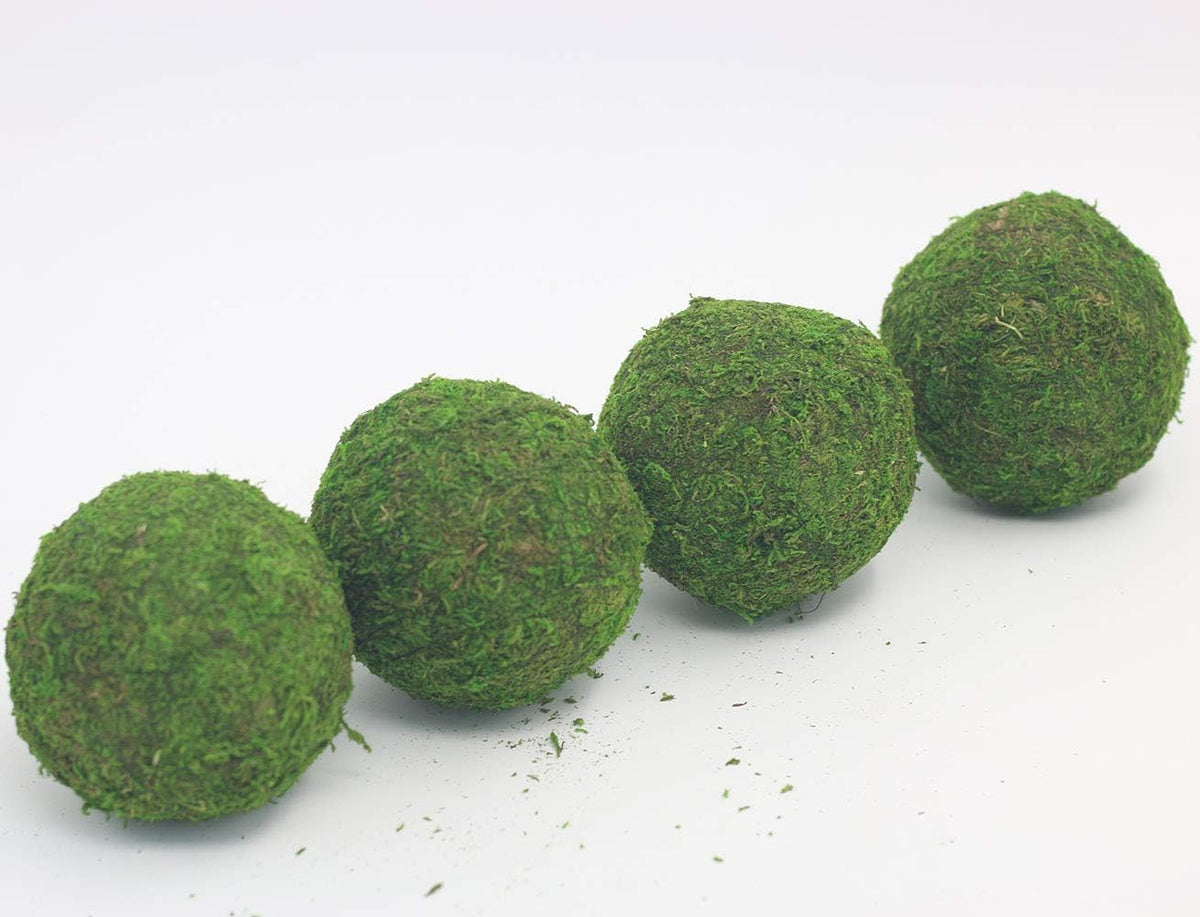 Handmade Natural Green Plant Moss Balls Decorative for Home Party Display Decor Props (2 in)