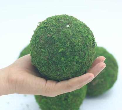 Handmade Natural Green Plant Moss Balls Decorative for Home Party Display Decor Props (2 in)
