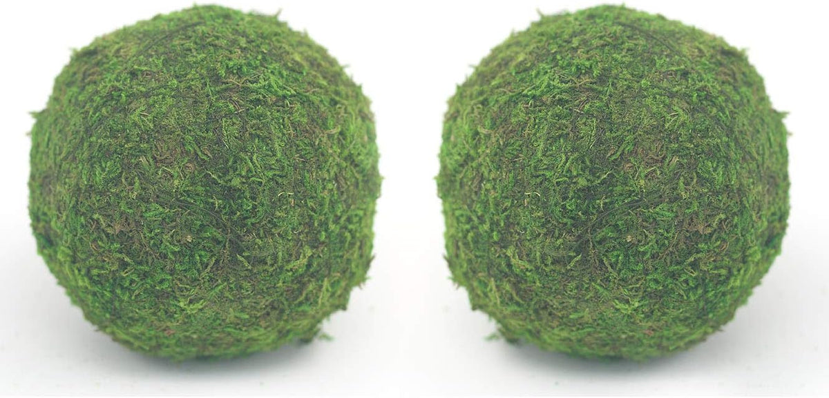 Handmade Natural Green Plant Moss Balls Decorative for Home Party Display Decor Props (2 in)