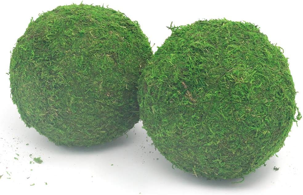 Handmade Natural Green Plant Moss Balls Decorative for Home Party Display Decor Props (2 in)