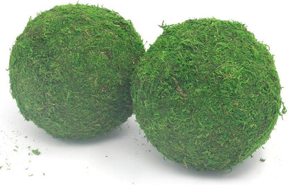 Handmade Natural Green Plant Moss Balls Decorative for Home Party Display Decor Props (2 in)