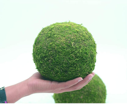 Handmade Natural Green Plant Moss Balls Decorative for Home Party Display Decor Props (2 in)
