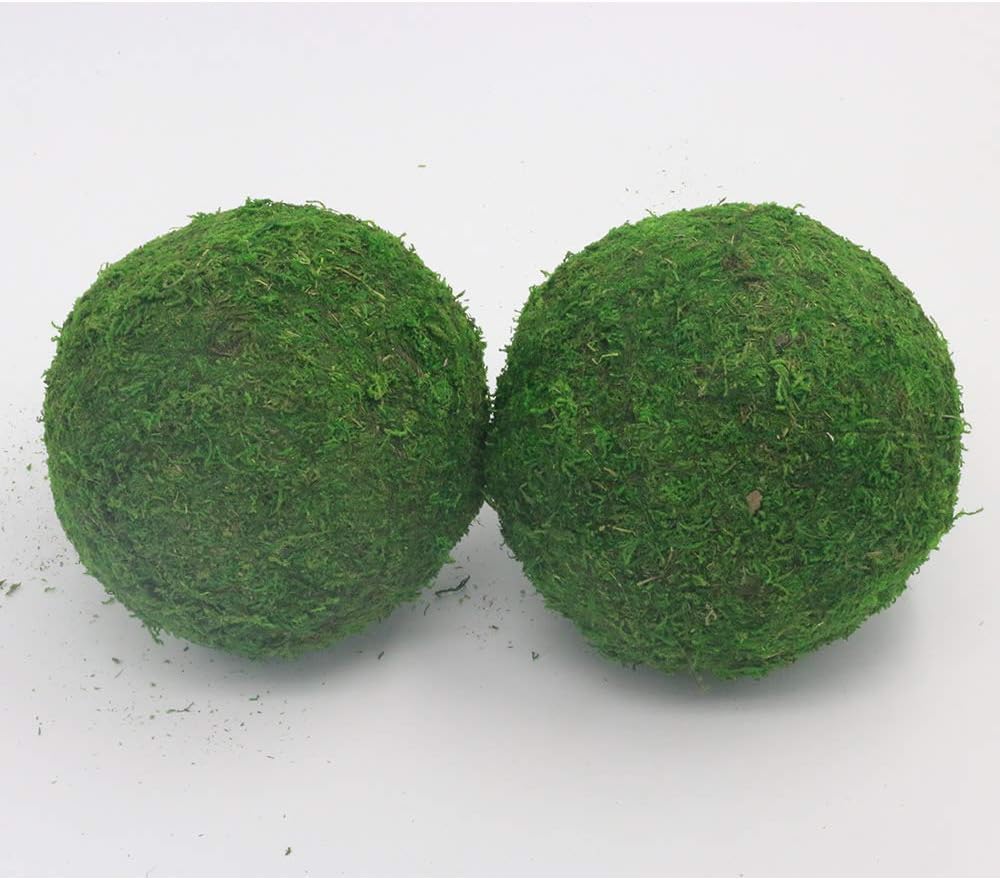 Handmade Natural Green Plant Moss Balls Decorative for Home Party Display Decor Props (2 in)