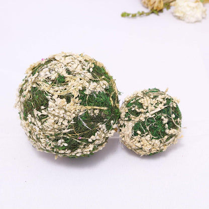 Handmade Natural Green Plant Moss Balls Decorative for Home Party Display Decor Props (2 in)