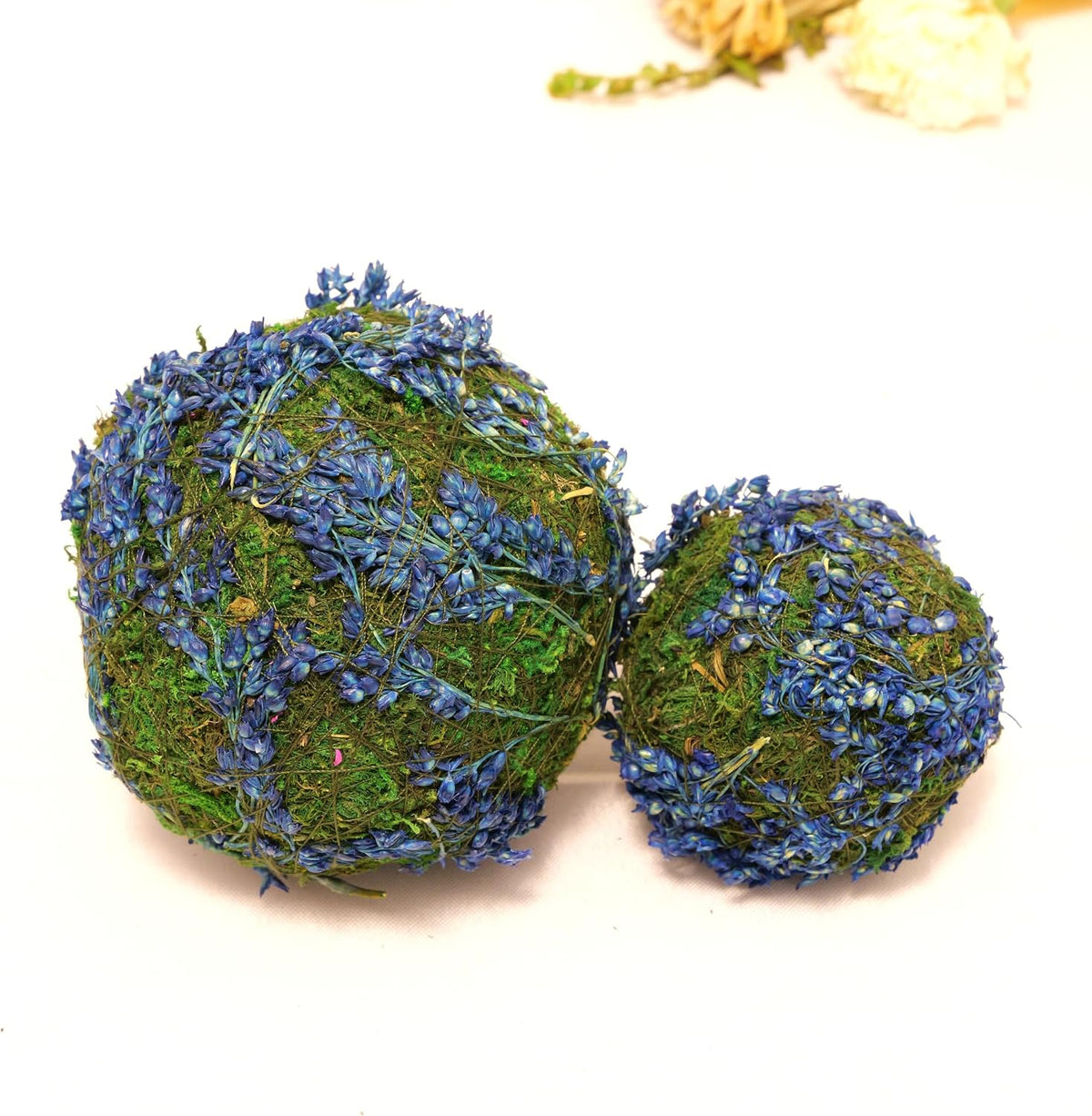 Handmade Natural Green Plant Moss Balls Decorative for Home Party Display Decor Props (2 in)