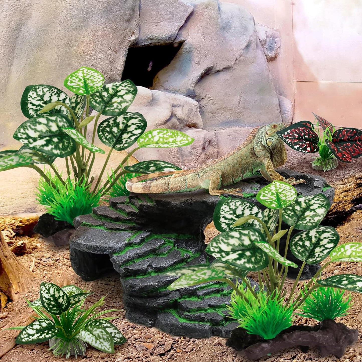 Reptile Artificial Plants, Terrarium Plants Decorations Supplies, Aquarium Fish Tank Plant, Amphibian Habitat Hideout Tank Accessories (M Set-2pcs/D)