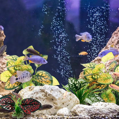 Reptile Artificial Plants, Terrarium Plants Decorations Supplies, Aquarium Fish Tank Plant, Amphibian Habitat Hideout Tank Accessories (M Set-2pcs/D)