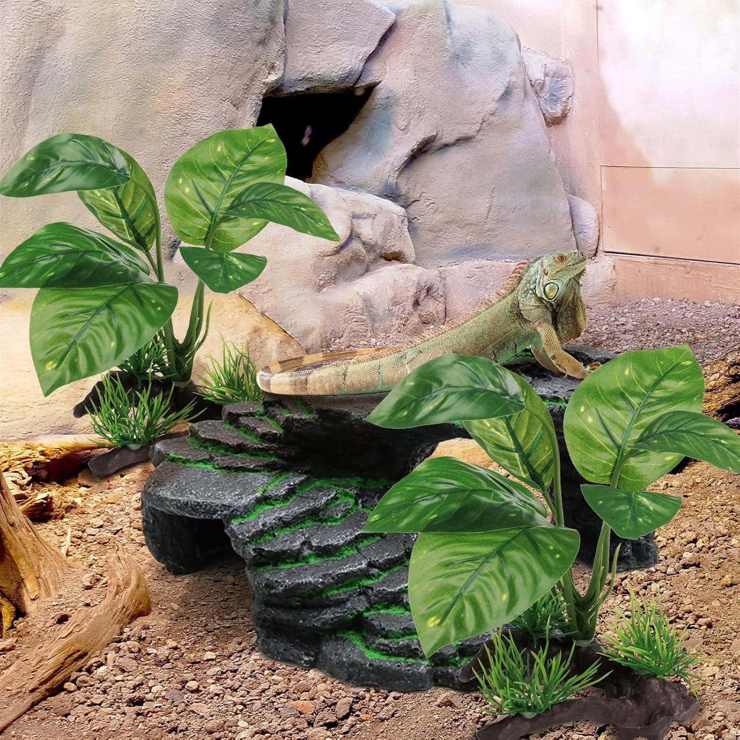 Reptile Artificial Plants, Terrarium Plants Decorations Supplies, Aquarium Fish Tank Plant, Amphibian Habitat Hideout Tank Accessories (M Set-2pcs/D)