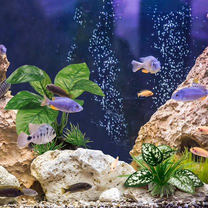 Reptile Artificial Plants, Terrarium Plants Decorations Supplies, Aquarium Fish Tank Plant, Amphibian Habitat Hideout Tank Accessories (M Set-2pcs/D)