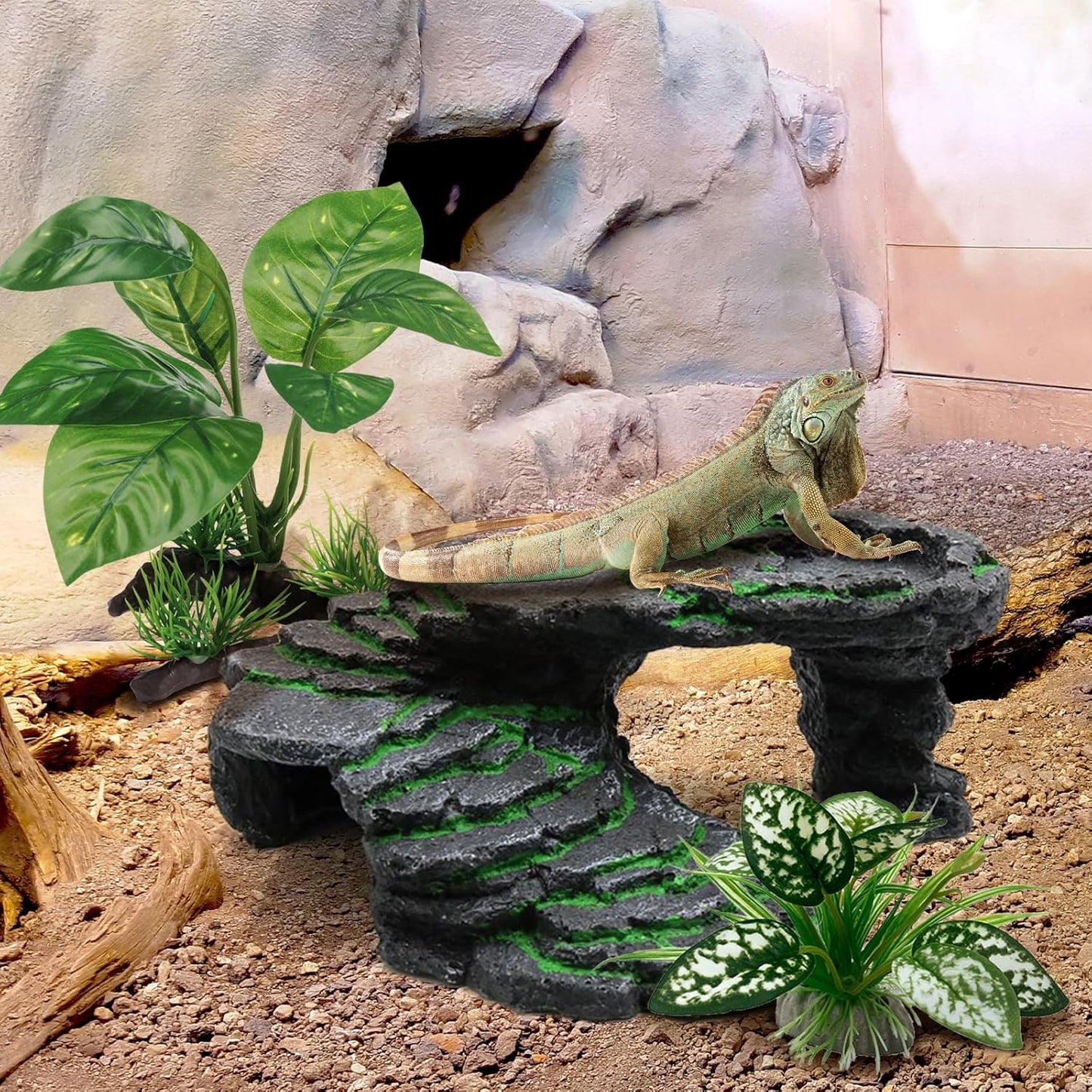 Reptile Artificial Plants, Terrarium Plants Decorations Supplies, Aquarium Fish Tank Plant, Amphibian Habitat Hideout Tank Accessories (M Set-2pcs/D)