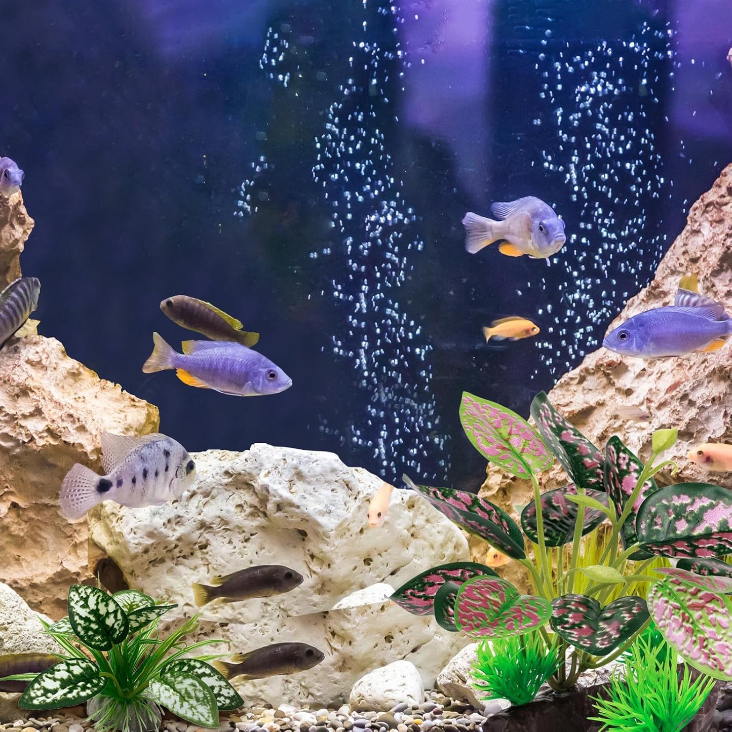 Reptile Artificial Plants, Terrarium Plants Decorations Supplies, Aquarium Fish Tank Plant, Amphibian Habitat Hideout Tank Accessories (M Set-2pcs/D)