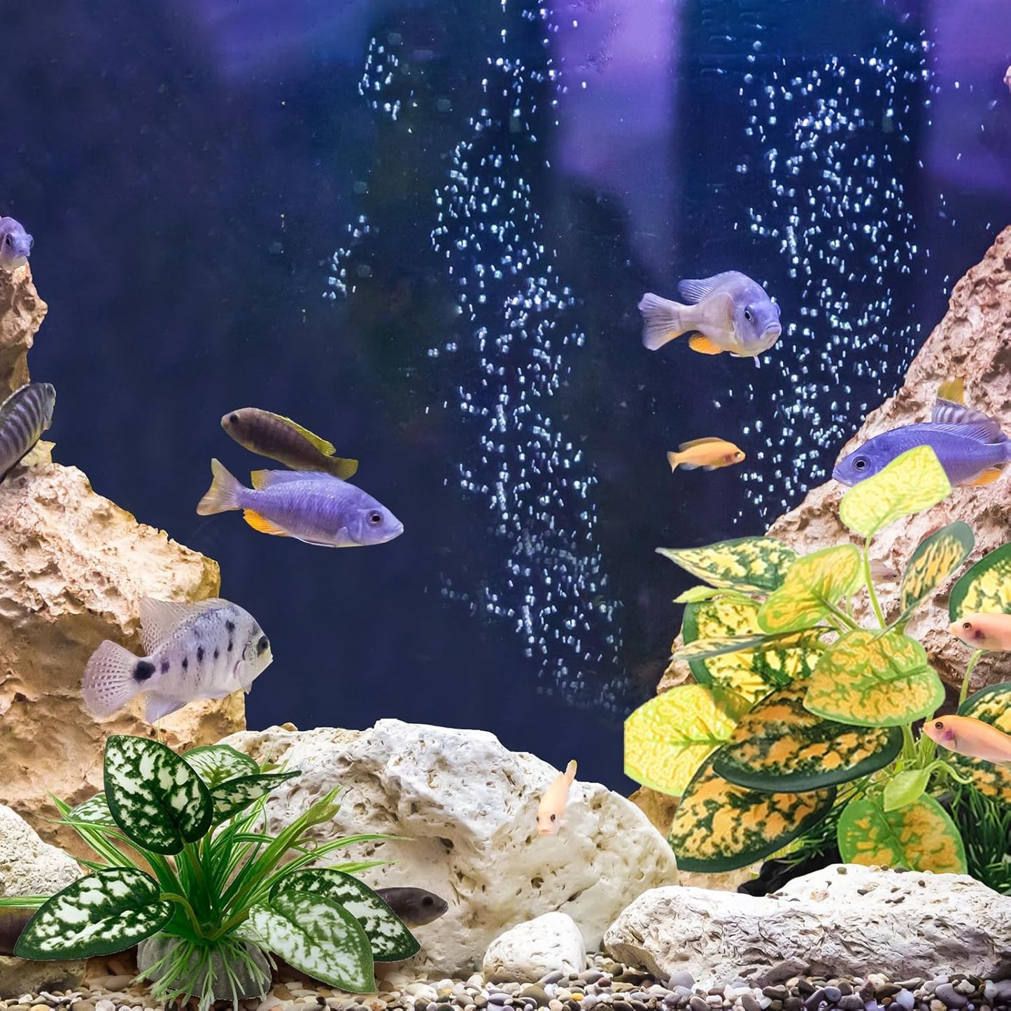Reptile Artificial Plants, Terrarium Plants Decorations Supplies, Aquarium Fish Tank Plant, Amphibian Habitat Hideout Tank Accessories (M Set-2pcs/D)