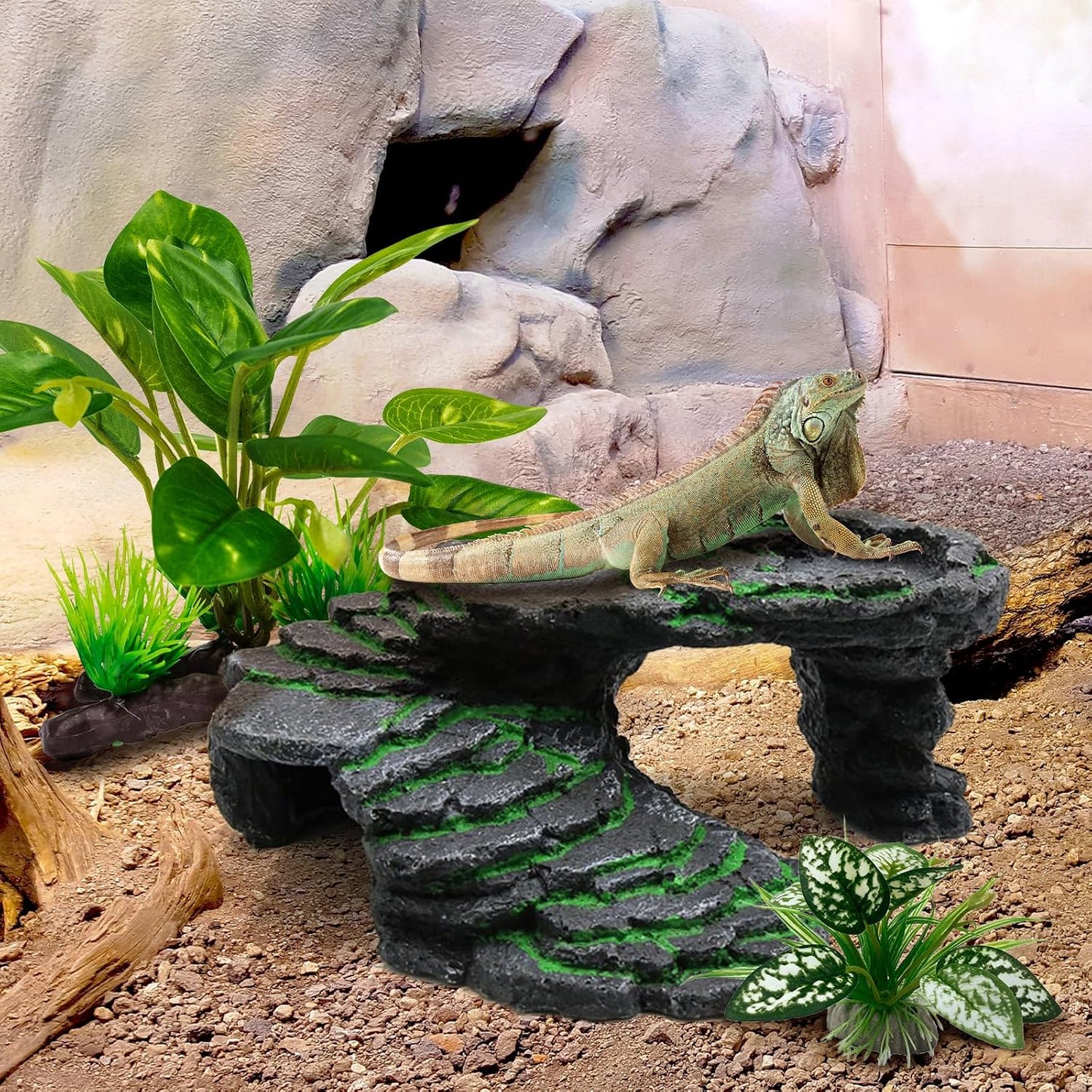 Reptile Artificial Plants, Terrarium Plants Decorations Supplies, Aquarium Fish Tank Plant, Amphibian Habitat Hideout Tank Accessories (M Set-2pcs/D)