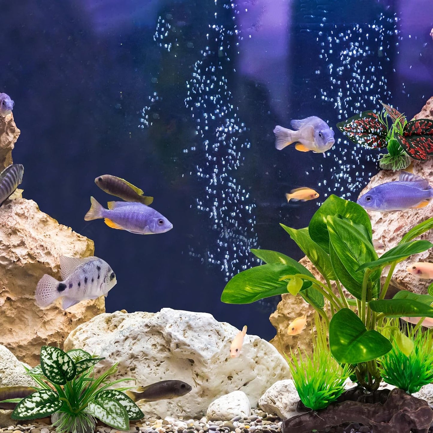 Reptile Artificial Plants, Terrarium Plants Decorations Supplies, Aquarium Fish Tank Plant, Amphibian Habitat Hideout Tank Accessories (M Set-2pcs/D)