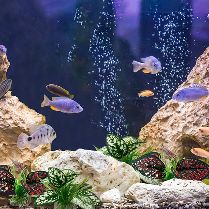 Reptile Artificial Plants, Terrarium Plants Decorations Supplies, Aquarium Fish Tank Plant, Amphibian Habitat Hideout Tank Accessories (M Set-2pcs/D)