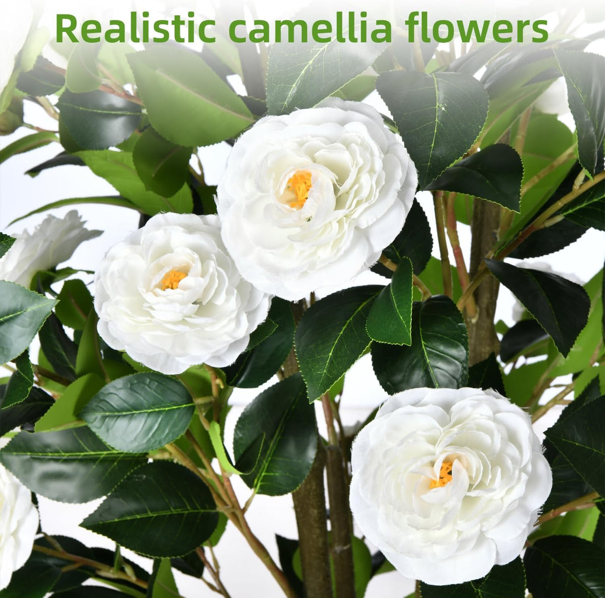 Artificial Camellia Tree 6FT– Faux Plants Indoor, with Easy Assembly, Low Maintenance, Ideal for Both Indoor Decoration and Other Purposes，Perfect Porch Christmas Trees (White 6ft)