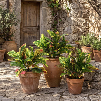 10 Pcs Artificial Croton Plant Leaf Branches 15.8 inch Summer Lifelike Tropical Houseplant Faux Dieffenbachia Plant Greenery Aesthetic House Plants for Home Vase Office Yard Garden Decor