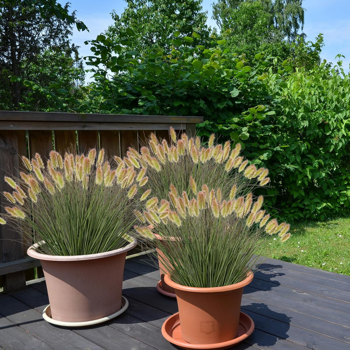 Artificial Grass, Fake Grass, Artificial Shrubs, Wheatgrass Cattails Fake Grass Decorations, Artificial Plants, Ornamental Grass, Outdoor Fake Grass, Green Leafy Decorations (12PCS)
