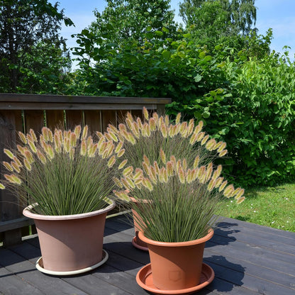 Artificial Grass, Fake Grass, Artificial Shrubs, Wheatgrass Cattails Fake Grass Decorations, Artificial Plants, Ornamental Grass, Outdoor Fake Grass, Green Leafy Decorations (12PCS)